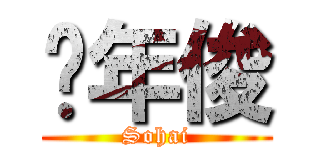 谭年俊 (Sohai)