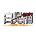 白晃楠 (Konan haku)