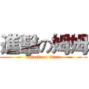 進擊の姆姆 (attack on titan)