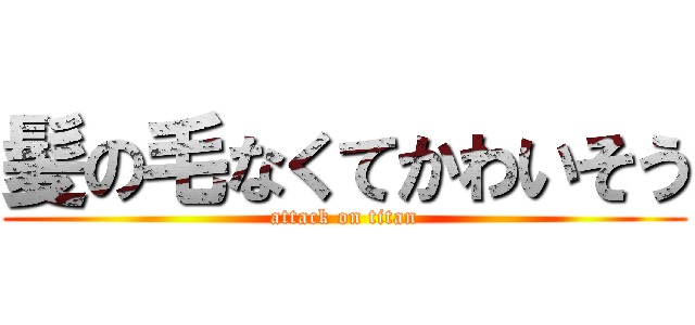 髪の毛なくてかわいそう (attack on titan)