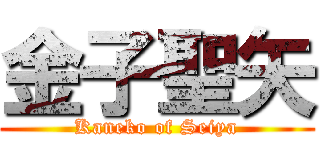 金子聖矢 (Kaneko of Seiya)