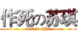 作死の苏琪 (SQ is aJB)