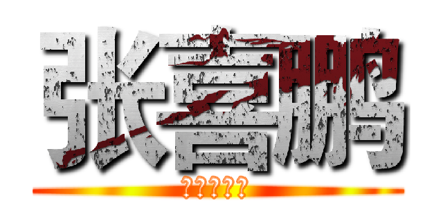 张喜鹏 (葫芦丝大鹏)