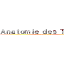 Ａｎａｔｏｍｉｅ ｄｅｓ Ｔｉｔａｎｓ (Dernier espoir des P1)