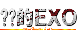 进击的ＥＸＯ (attack on titan)