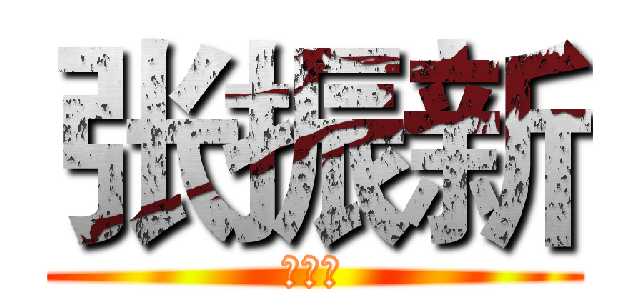 张振新 (张振新)