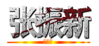 张振新 (张振新)