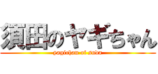 須田のヤギちゃん (yagichan of suda)