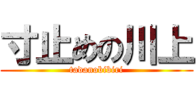 寸止めの川上 (tadanobibiri)