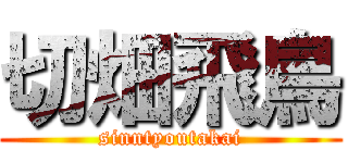 切畑飛鳥 (sinntyoutakai)