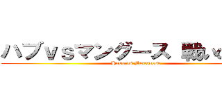 ハブｖｓマングース 戦いの火蓋 (Habu vs Mongoose)