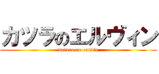 カツラのエルヴィン (katura no eruvin)