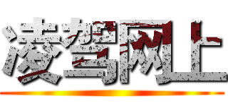 凌驾网上 ()