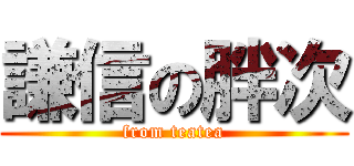 謙信の胖次 (from teatea)