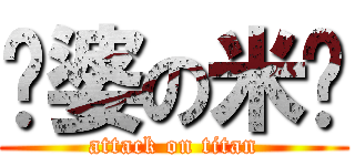 傻婆の米妮 (attack on titan)