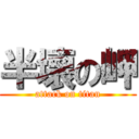 半壊の岬 (attack on titan)