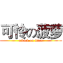 可怜の菠萝 (attack on titan)