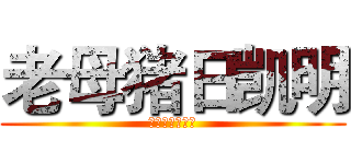老母猪日凯明 (日我日我快日我)