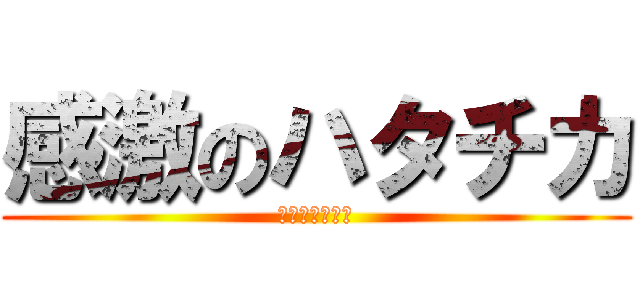 感激のハタチカ (涙の味は梨の味)