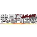 我是同性戀 (i'm GAY)