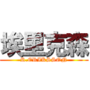 埃里克森 (R.ERIKSSON)