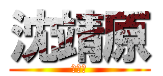 沈靖原 (沈靖原)