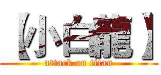 【小白龍】 (attack on titan)