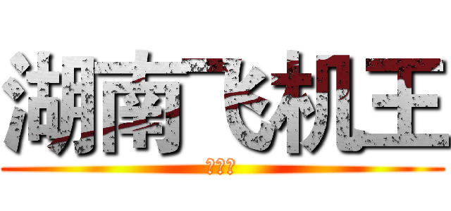 湖南飞机王 (邓本鸿)