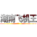 湖南飞机王 (邓本鸿)