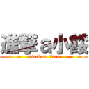 進撃ａ小餒 (attack on titan)