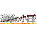 進撃の小白脸 (attack on titan)