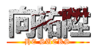 向祐陞 (HE SUCKS)