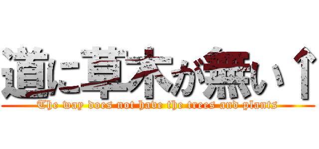 道に草木が無い↑ (The way does not have the trees and plants)