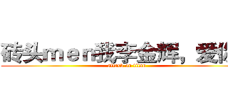 砖头ｍｅｎ我李金辉，爱你！ (attack on titan)