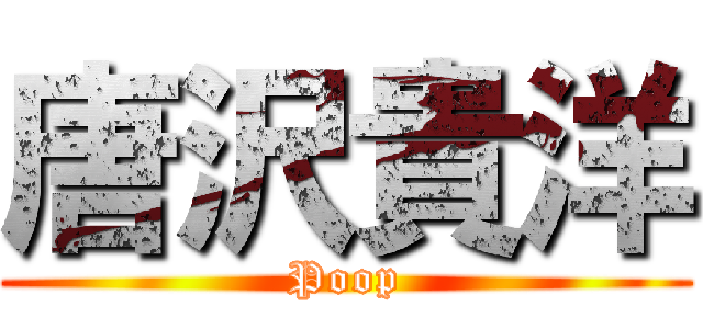 唐沢貴洋 (Poop)