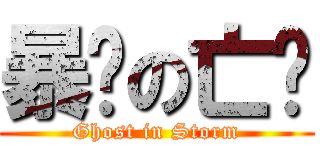 暴风の亡灵 (Ghost in Storm)