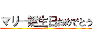 マリー誕生日おめでとう (セトマリ)