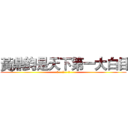 黃鼎鈞是天下第一大白目 (神    精    病)