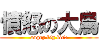 憤怒の大鳥 (angry big bird)