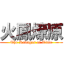 火鳳燎原 (The Ravages of Time)