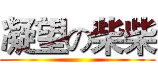 凝望の柴柴 ()