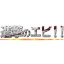 進撃のエビ！！ (attack on titan)