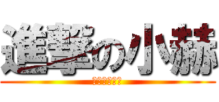 進撃の小赫 (Ｆｉｇｈｔ！)