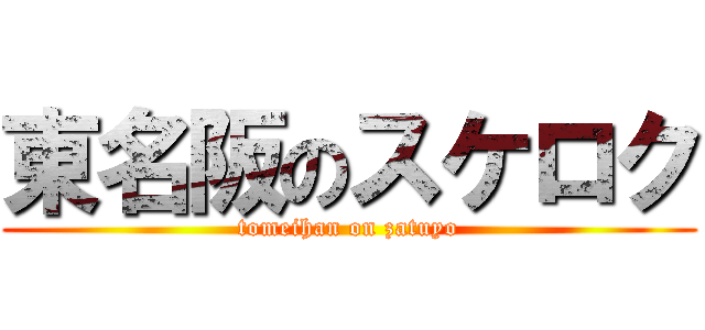東名阪のスケロク (tomeihan on zatuyo)