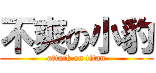 不爽の小豹 (attack on titan)