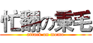 忙翻の秉毛 (attack on momo)