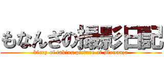 もなんざの撮影日記 (diary of taking picture of Monanza)