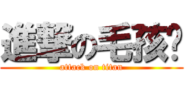 進撃の毛孩纸 (attack on titan)