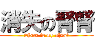 消失の腎腎 (where is my shen?)