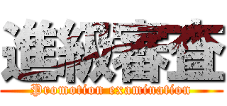 進級審査 (Promotion examination)